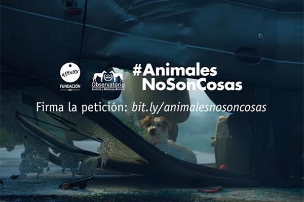Fundación Affinity hace un llamamiento para rescatar a los animales implicados en un accidente