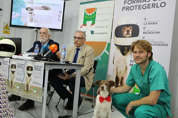 nueva campaa de tenencia responsable del consejo andaluz de colegios oficiales de veterinarios nueva campaa de tenencia responsable del consejo andaluz de colegios oficiales de veterinarios