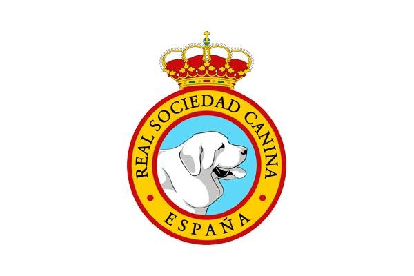 la real sociedad canina de espaa presenta sus alegaciones ante el proyecto de la comunidad de madrid la real sociedad canina de espaa presenta sus alegaciones ante el proyecto de la comunidad de madrid