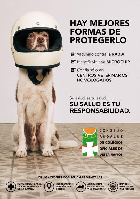 Nueva Campa a De Tenencia Responsable Del Consejo Andaluz De Colegios nueva-campa-a-de-tenencia-responsable-del-consejo-andaluz-de-colegios