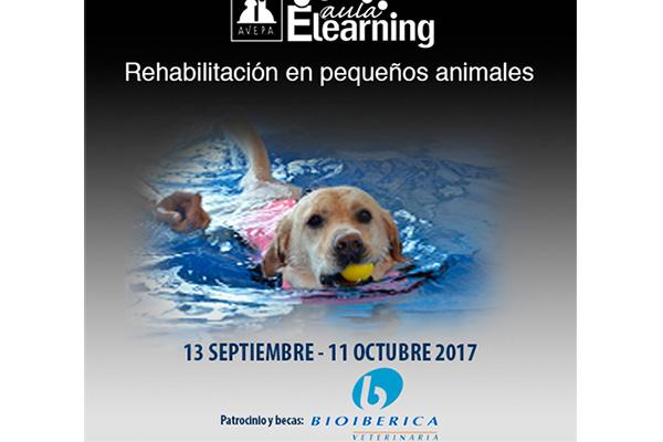 avepa anuncia un curso online de rehabilitacin y fisioterapia en pequeos animales avepa anuncia un curso online de rehabilitacin y fisioterapia en pequeos animales