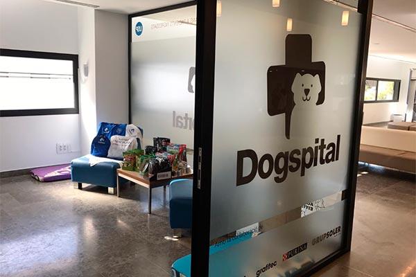 el hospital can misses acoge dogspital una iniciativa para las visitas de perros a pacientes ingresados el hospital can misses acoge dogspital una iniciativa para las visitas de perros a pacientes ingresados
