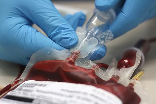 el segundo banco de sangre para animales de europa se encuentra en madrid el segundo banco de sangre para animales de europa se encuentra en madrid