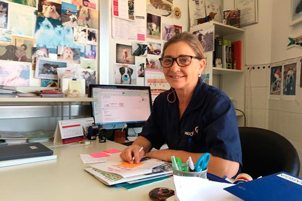 el futuro se dirige hacia el concepto one health donde elnbsp bienestar de los animales sea una prioridad el futuro se dirige hacia el concepto one health donde elnbsp bienestar de los animales sea una prioridad