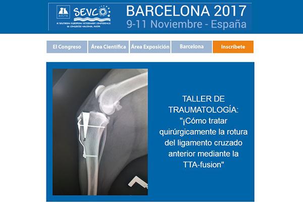 avepasevc acoge el taller cmo tratar quirrgicamente la rotura del ligamento cruzado anterior mediante la ttafusion avepasevc acoge el taller cmo tratar quirrgicamente la rotura del ligamento cruzado anterior mediante la ttafusion