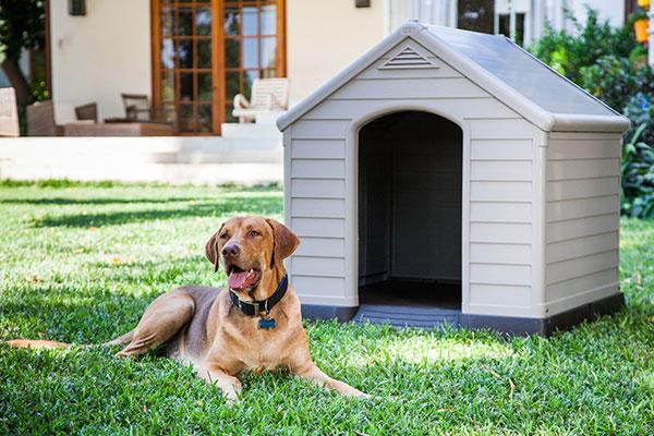 caseta de perro de keter robusta impermeable ventilada y fcil de limpiar caseta de perro de keter robusta impermeable ventilada y fcil de limpiar
