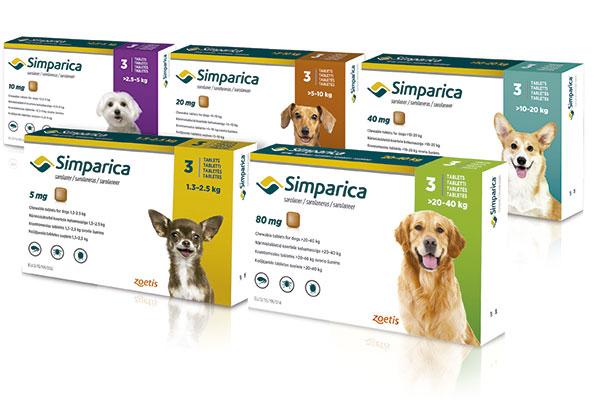 simparica ahora tambin para el tratamiento de los caros del odo y la demodicosis en perros simparica ahora tambin para el tratamiento de los caros del odo y la demodicosis en perros