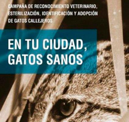 Ayuntamiento de Cádiz, Kimba, Agaden y veterinarios renuevan la campaña "En tu salud, gatos sanos"