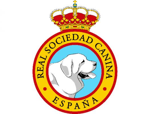 bilbao acoge este fin de semana diversas exposiciones caninas bilbao acoge este fin de semana diversas exposiciones caninas