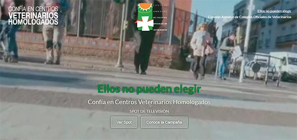 El CACV presenta la Campaña “Ellos no pueden elegir” para combatir el intrusismo y la mala praxis veterinaria