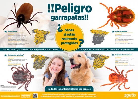 Campaña de Zoetis sobre las garrapatas como vectores de importantes zoonosis