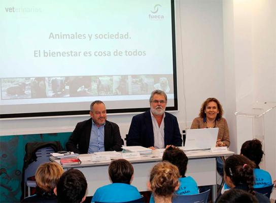 COVLP: Gran Canaria es uno de los lugares de España donde más se abandonan animales domésticos y mascotas