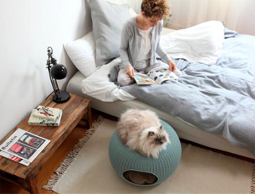 Cozy Pet Knit de Curver, la mejor solución para nuestros amigos de cuatro patas