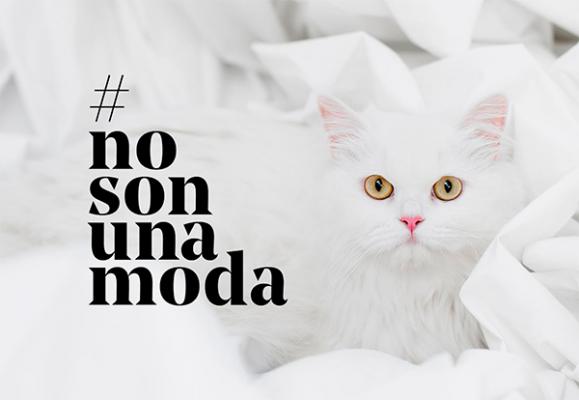 Fundación Affinity lanza la campaña #NoSonUnaModa en el Día Mundial de los Animales de Compañía