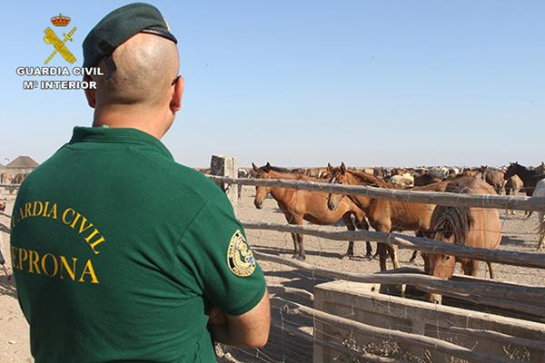 La Guardia Civil practicó 10.793 actuaciones en materia de animales de compañía en 2015
