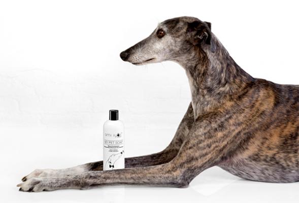 AMI IYÖK, belleza solidaria con My Pet Soap