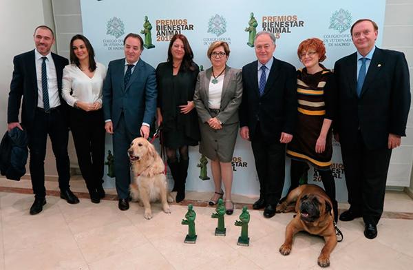 Los I Premios Bienestar Animal evidencian que las mascotas mejoran la salud de las personas