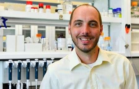 los probioacuteticos comunes pueden reducir los niveles de estreacutes y ansiedad los probioacuteticos comunes pueden reducir los niveles de estreacutes y ansiedad
