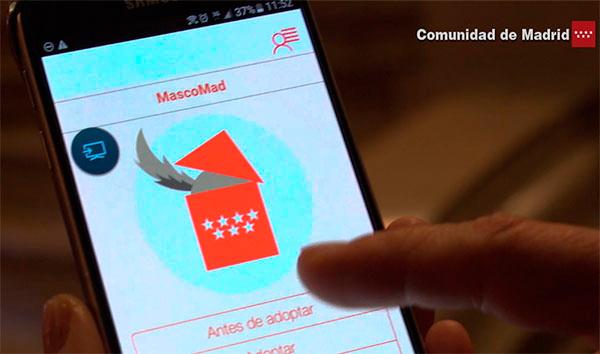 "MascoMad", la app para móviles con los datos de animales para adoptar en Madrid