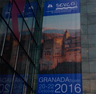 El SEVC-50 Congreso Nacional de AVEPA abre sus puertas