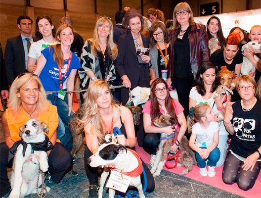 la tenencia responsable y la adopcioacuten de mascotas protagonistas de la feria quotferia 100x100 mascotaquot la tenencia responsable y la adopcioacuten de mascotas protagonistas de la feria quotferia 100x100 mascotaquot