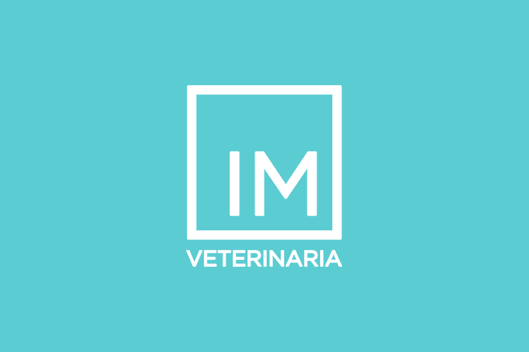 Solo 1 de cada 5 veterinarios ofrece a las familias de las mascotas consejos sobre nutrición