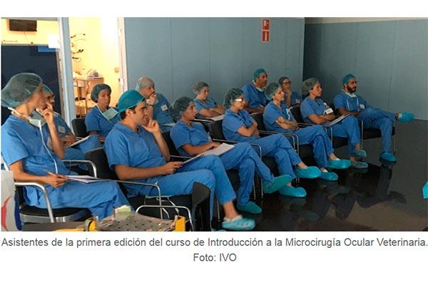 el ivo ofrece una nueva edicin del curso de microciruga oftlmica veterinaria el ivo ofrece una nueva edicin del curso de microciruga oftlmica veterinaria