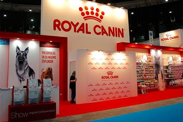 royal canin aconsejanbspsobre nutricin para gatitos y cachorros en 100x100 mascotas royal canin aconsejanbspsobre nutricin para gatitos y cachorros en 100x100 mascotas
