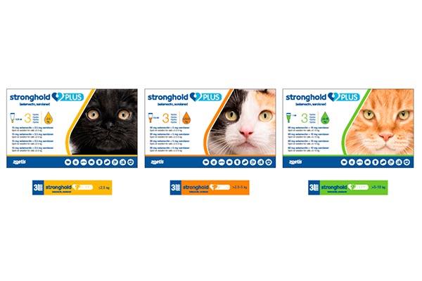stronghold plus para gatos la mejor proteccin frente a los principales parsitos del gato stronghold plus para gatos la mejor proteccin frente a los principales parsitos del gato