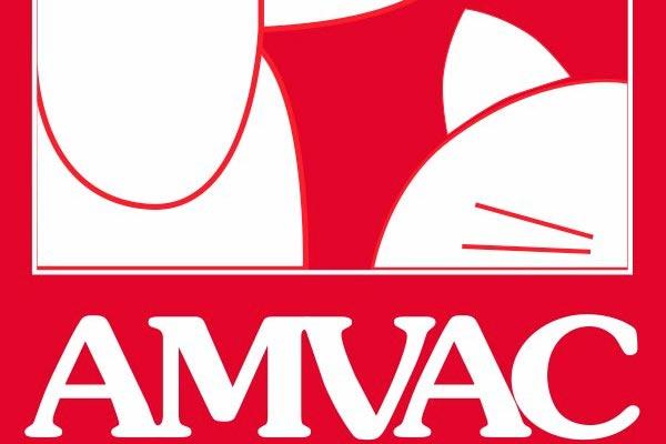 amvac en espaa existe una mayor tributacin por el cuidado de nuestras mascotas que la fiesta y las copas amvac en espaa existe una mayor tributacin por el cuidado de nuestras mascotas que la fiesta y las copas