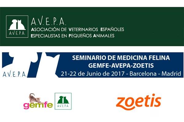 barcelona y madrid albergarn el prximo seminario de medicina felina de zoetis barcelona y madrid albergarn el prximo seminario de medicina felina de zoetis