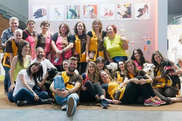 bayer acude a 100x100 mascota junto con dogtor animal y fundacin acavall bayer acude a 100x100 mascota junto con dogtor animal y fundacin acavall