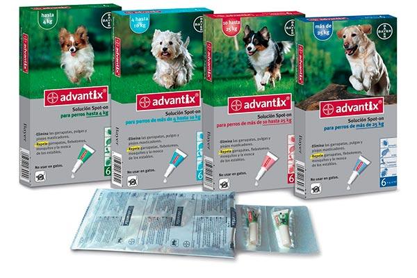 campaa de concienciacin de bayer sobre la importancia de prevenir la leishmaniosis canina campaa de concienciacin de bayer sobre la importancia de prevenir la leishmaniosis canina