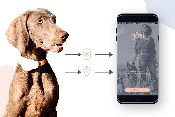 gsi el collar inteligente que permite monitorizar la actividad de tu mascota y saber dnde est gsi el collar inteligente que permite monitorizar la actividad de tu mascota y saber dnde est