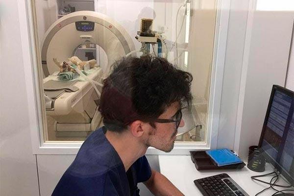el hospital veterinari de catalunya adquiere un nuevo tac para su infraestructura mdica el hospital veterinari de catalunya adquiere un nuevo tac para su infraestructura mdica