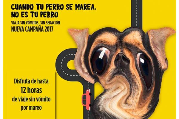 nueva-campana-inform