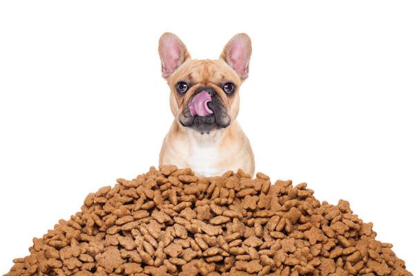 petfood forum europe analiza las dietas altamente proteicas petfood forum europe analiza las dietas altamente proteicas