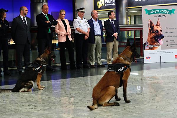 ms de 135000 perros han cogido el metro de madrid durante el ltimo ao ms de 135000 perros han cogido el metro de madrid durante el ltimo ao