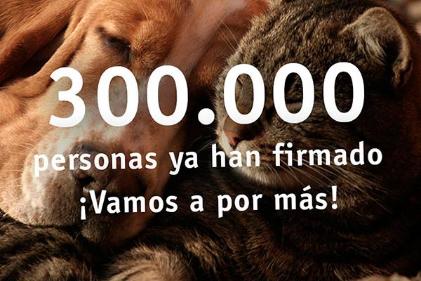 la campaa animalesnosoncosas ya cuenta con ms de 300000 firmas la campaa animalesnosoncosas ya cuenta con ms de 300000 firmas