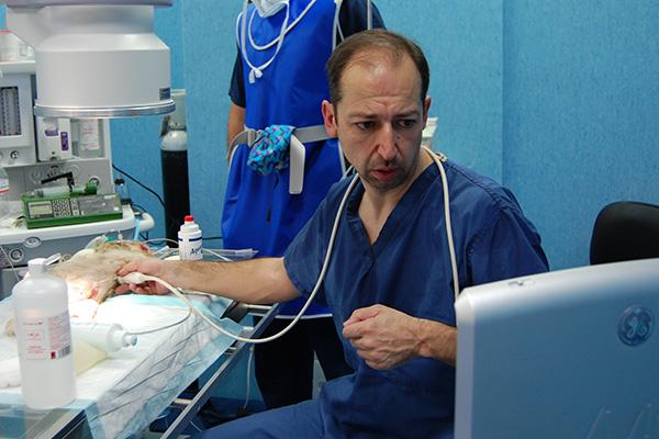 la cardiologa es una especialidad en expansin an tiene un amplio recorrido la cardiologa es una especialidad en expansin an tiene un amplio recorrido
