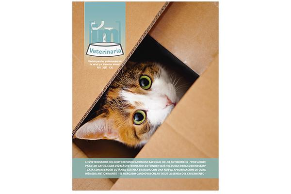 especial medicina felina en el nuevo nmero de im veterinaria especial medicina felina en el nuevo nmero de im veterinaria