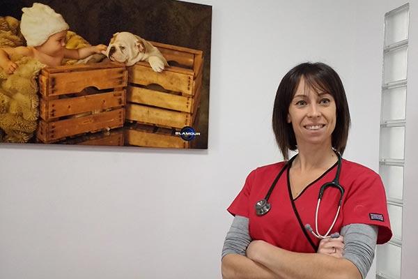 el gran reto es conseguir que los gobiernos se comprometan de verdad con la medicina veterinaria el gran reto es conseguir que los gobiernos se comprometan de verdad con la medicina veterinaria