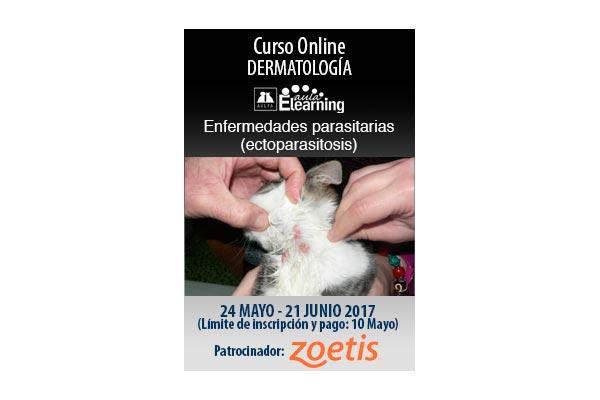 zoetis apoya la plataforma de avepa aula elearning de formacin en parasitologa y dermatologa zoetis apoya la plataforma de avepa aula elearning de formacin en parasitologa y dermatologa