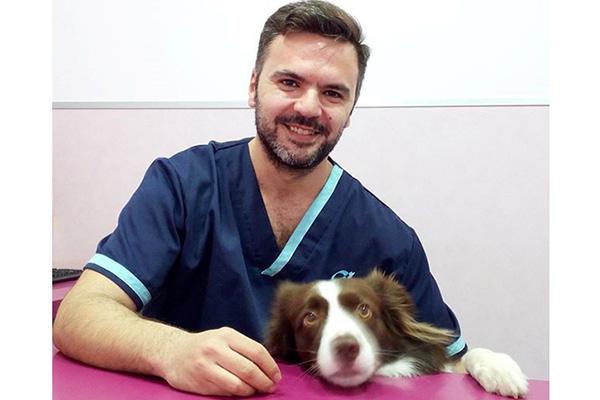 el propietario busca un veterinario que pueda responder a sus dudas de forma actualizada el propietario busca un veterinario que pueda responder a sus dudas de forma actualizada