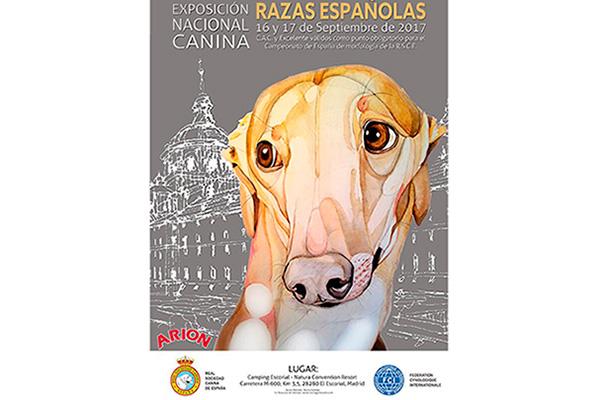 cerca de 300 perros participan este fin de semana en la exposicin nacional canina de razas espaolas cerca de 300 perros participan este fin de semana en la exposicin nacional canina de razas espaolas