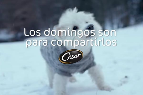 los domingos son para compartirlos la nueva campaa de cesar en espaa los domingos son para compartirlos la nueva campaa de cesar en espaa