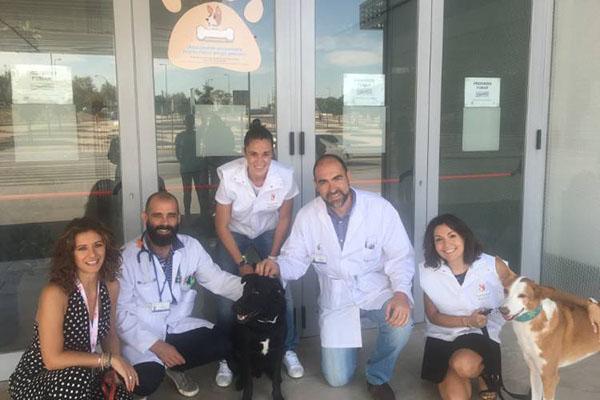 los nios hospitalizados en el rey juan carlos podrn recibir la visita de sus perros los nios hospitalizados en el rey juan carlos podrn recibir la visita de sus perros