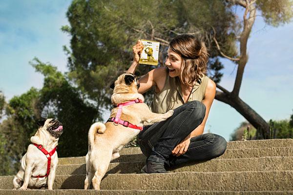 los perros padecen una enfermedad similar al alzhimer llamada sndrome de disfuncin cognitiva los perros padecen una enfermedad similar al alzhimer llamada sndrome de disfuncin cognitiva