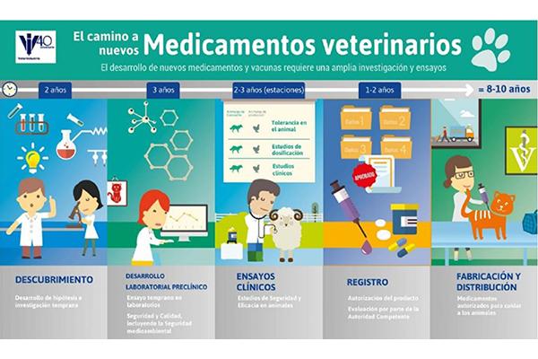 regulacin y normativa elementos esenciales en el sector de sanidad y nutricin animal regulacin y normativa elementos esenciales en el sector de sanidad y nutricin animal
