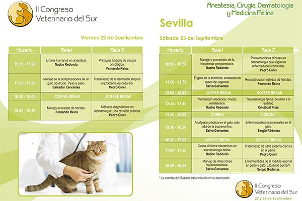 sevilla acoge este fin de semana el ii congreso veterinarios del sur sevilla acoge este fin de semana el ii congreso veterinarios del sur